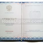 11 класс
